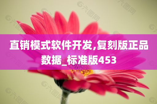 直销模式软件开发,复刻版正品数据_标准版453