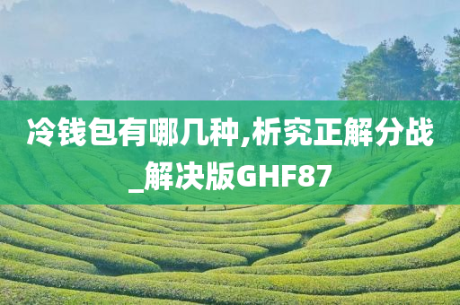 冷钱包有哪几种,析究正解分战_解决版GHF87