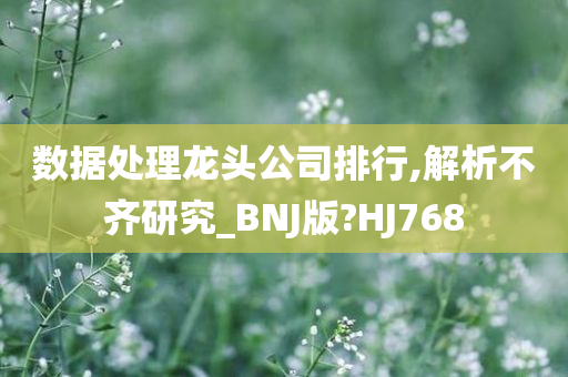 数据处理龙头公司排行,解析不齐研究_BNJ版?HJ768