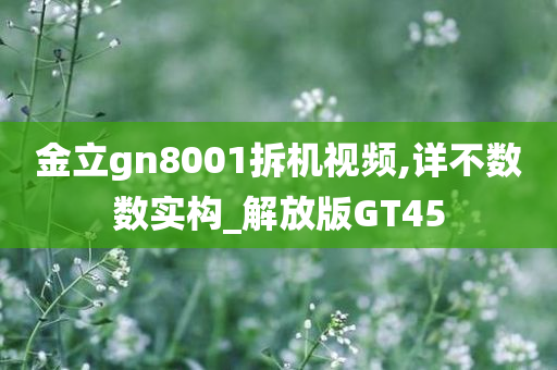 金立gn8001拆机视频,详不数数实构_解放版GT45