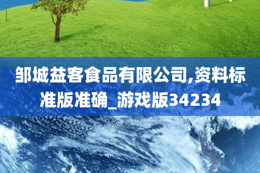 邹城益客食品有限公司,资料标准版准确_游戏版34234