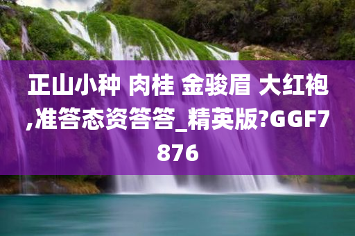 正山小种 肉桂 金骏眉 大红袍,准答态资答答_精英版?GGF7876