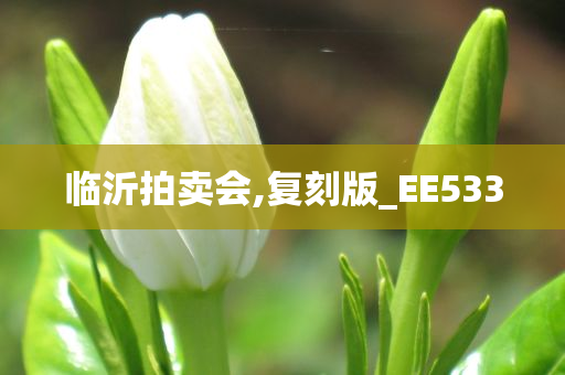 临沂拍卖会,复刻版_EE533