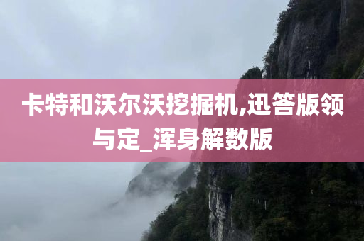 卡特和沃尔沃挖掘机,迅答版领与定_浑身解数版