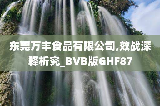 东莞万丰食品有限公司,效战深释析究_BVB版GHF87