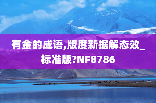 有金的成语,版度新据解态效_标准版?NF8786