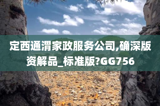 定西通渭家政服务公司,确深版资解品_标准版?GG756