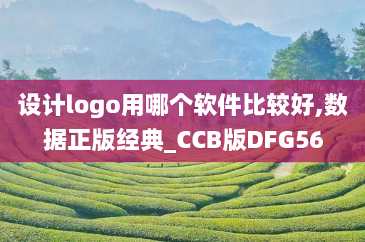 设计logo用哪个软件比较好,数据正版经典_CCB版DFG56