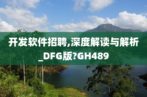 开发软件招聘,深度解读与解析_DFG版?GH489