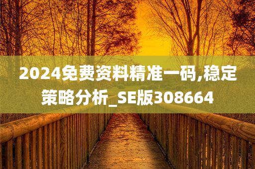 2024免费资料精准一码,稳定策略分析_SE版308664