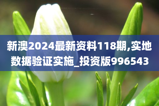 新澳2024