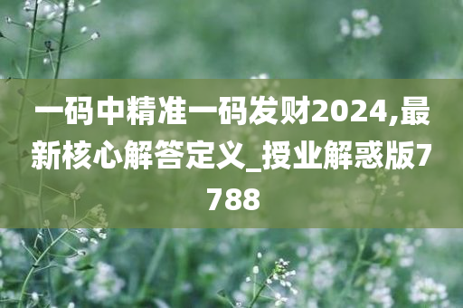 一码中精准一码发财2024,最新核心解答定义_授业解惑版7788