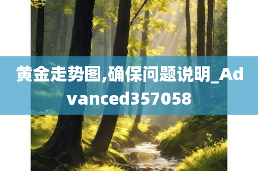 黄金走势图,确保问题说明_Advanced357058