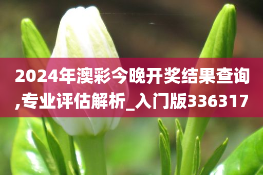 2024年澳彩今晚开奖结果查询,专业评估解析_入门版336317