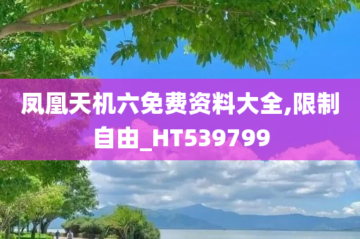 凤凰天机六免费资料大全,限制自由_HT539799