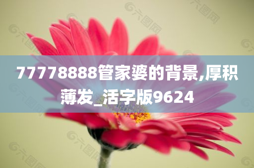 77778888管家婆的背景,厚积薄发_活字版9624