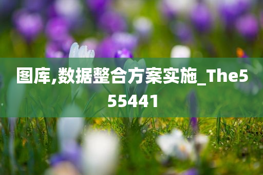 图库,数据整合方案实施_The555441