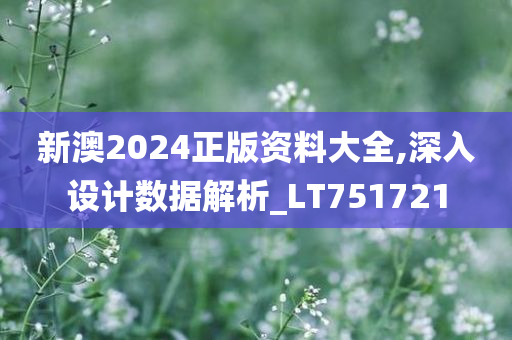 新澳2024正版资料大全,深入设计数据解析_LT751721