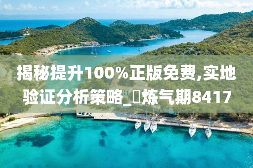 揭秘提升100%正版免费,实地验证分析策略_?炼气期8417