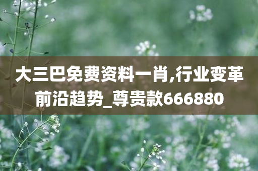 大三巴免费资料一肖,行业变革前沿趋势_尊贵款666880