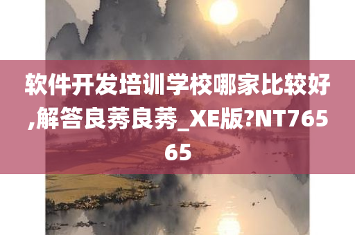 软件开发培训学校哪家比较好,解答良莠良莠_XE版?NT76565