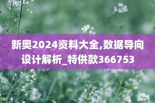 新奥2024资料大全,数据导向设计解析_特供款366753