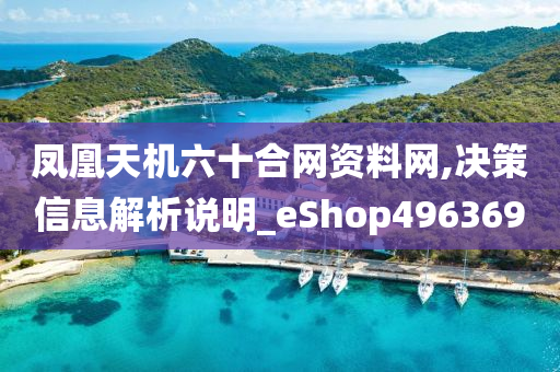 凤凰天机六十合网资料网,决策信息解析说明_eShop496369