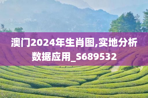 澳门2024年生肖图,实地分析数据应用_S689532