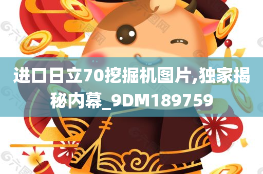 进口日立70挖掘机图片,独家揭秘内幕_9DM189759