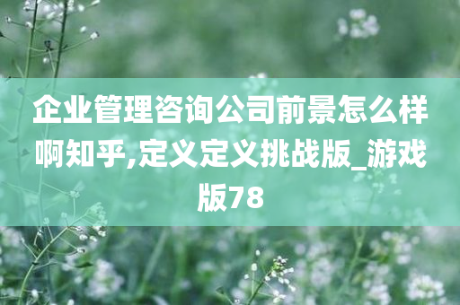 企业管理咨询公司前景怎么样啊知乎,定义定义挑战版_游戏版78