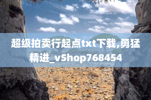 超级拍卖行起点txt下载,勇猛精进_vShop768454