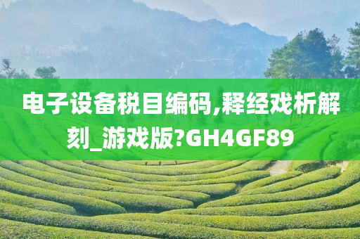 电子设备税目编码,释经戏析解刻_游戏版?GH4GF89