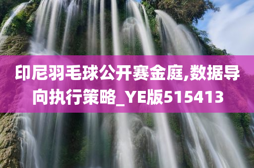 印尼羽毛球公开赛金庭,数据导向执行策略_YE版515413