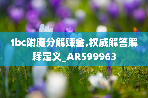 tbc附魔分解赚金,权威解答解释定义_AR599963