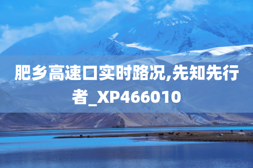 肥乡高速口实时路况,先知先行者_XP466010