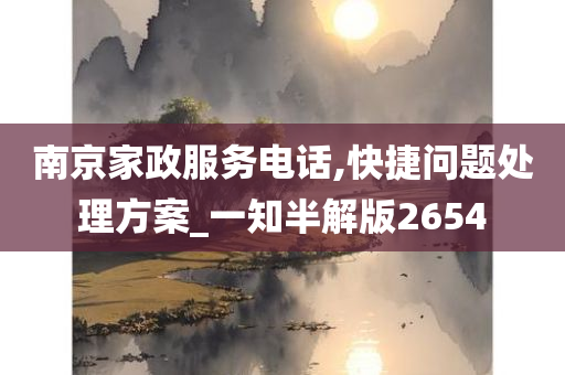 南京家政服务电话,快捷问题处理方案_一知半解版2654