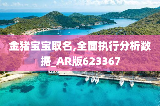 金猪宝宝取名,全面执行分析数据_AR版623367