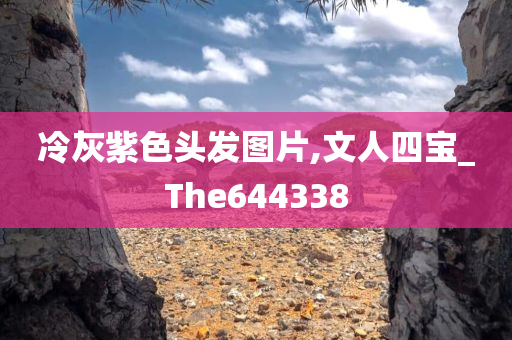 冷灰紫色头发图片,文人四宝_The644338