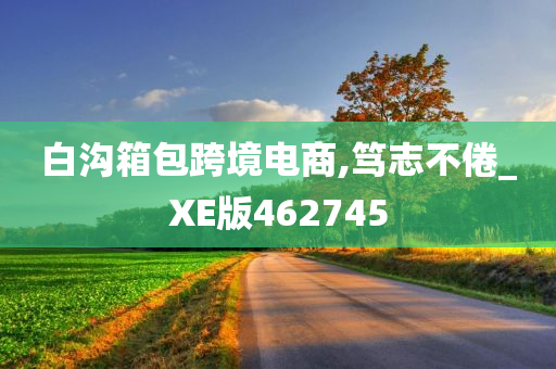 白沟箱包跨境电商,笃志不倦_XE版462745