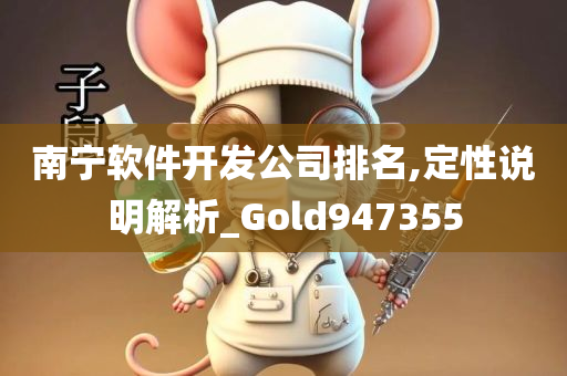 南宁软件开发公司排名,定性说明解析_Gold947355