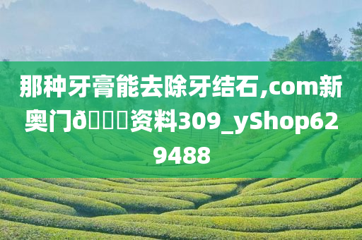 那种牙膏能去除牙结石,com新奥门??资料309_yShop629488