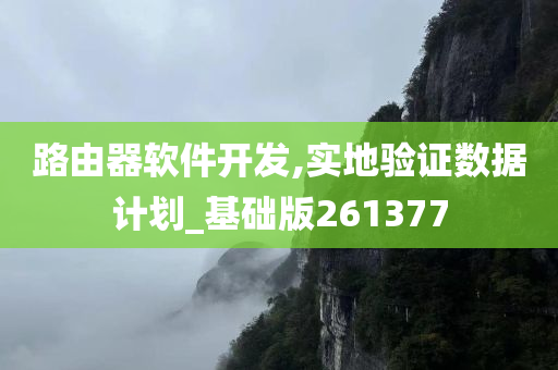 路由器软件开发,实地验证数据计划_基础版261377