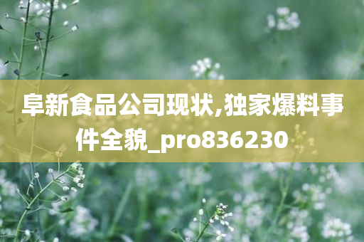 阜新食品公司现状,独家爆料事件全貌_pro836230