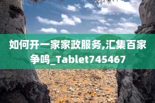 如何开一家家政服务,汇集百家争鸣_Tablet745467