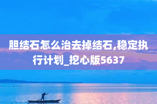 胆结石怎么治去掉结石,稳定执行计划_挖心版5637