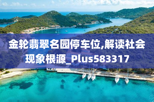 金轮翡翠名园停车位,解读社会现象根源_Plus583317