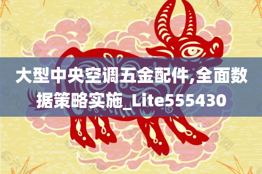 大型中央空调五金配件,全面数据策略实施_Lite555430