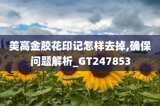 美高金胶花印记怎样去掉,确保问题解析_GT247853