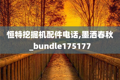 恒特挖掘机配件电话,墨洒春秋_bundle175177