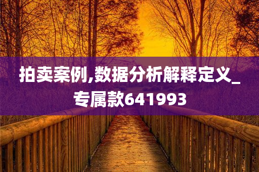 拍卖案例,数据分析解释定义_专属款641993